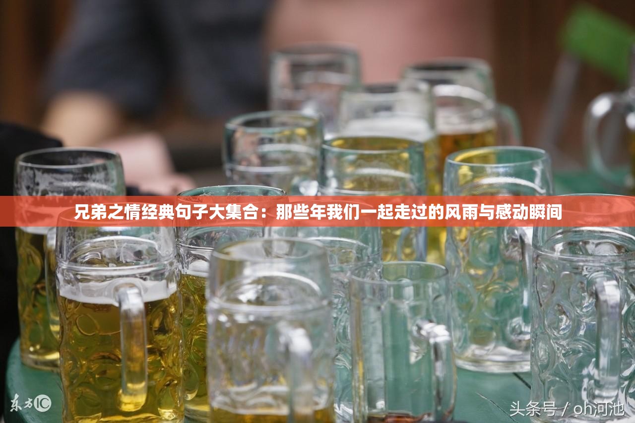 兄弟之情經典句子大集合：那些年我們一起走過的風雨與感動瞬間