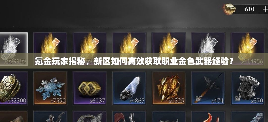 氪金玩家揭秘，新區(qū)如何高效獲取職業(yè)金色武器經(jīng)驗？