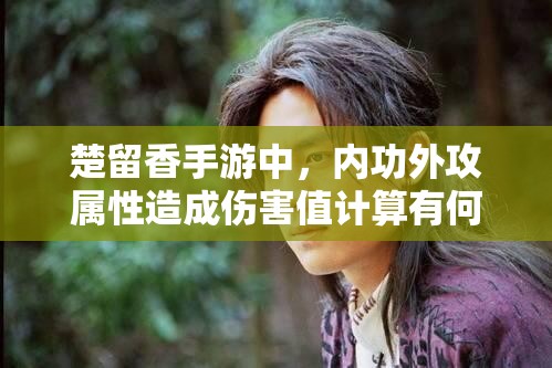 楚留香手游中，內(nèi)功外攻屬性造成傷害值計算有何神秘演變史？