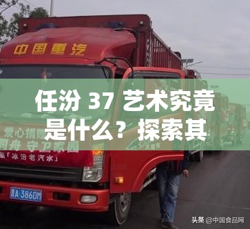 任汾 37 藝術(shù)究竟是什么？探索其獨(dú)特魅力與內(nèi)涵的相關(guān)解讀