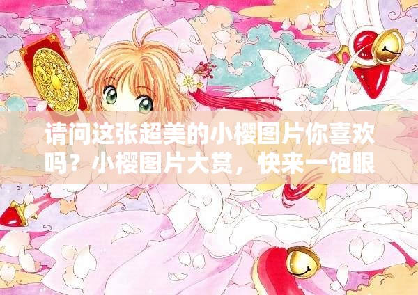請問這張超美的小櫻圖片你喜歡嗎？小櫻圖片大賞，快來一飽眼福