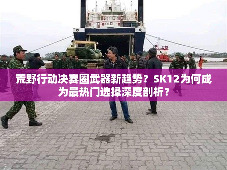 荒野行動(dòng)決賽圈武器新趨勢(shì)？SK12為何成為最熱門選擇深度剖析？