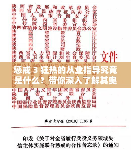 懲戒 3 狂熱的從業(yè)指導(dǎo)究竟是什么？帶你深入了解其奧秘與要點