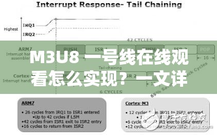 M3U8 一號(hào)線在線觀看怎么實(shí)現(xiàn)？一文詳解其觀看方法與技巧或者：想知道 M3U8 一號(hào)線在線觀看的具體方式？快來(lái)這里找答案