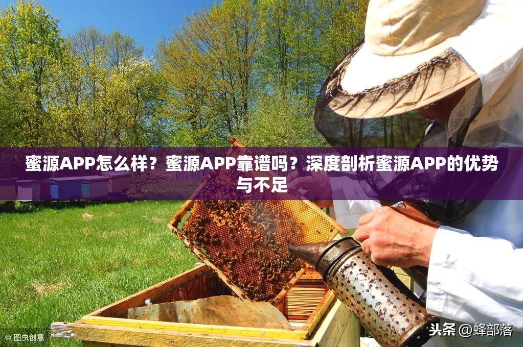 蜜源APP怎么樣？蜜源APP靠譜嗎？深度剖析蜜源APP的優(yōu)勢(shì)與不足