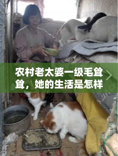 農(nóng)村老太婆一級(jí)毛聳聳，她的生活是怎樣的？