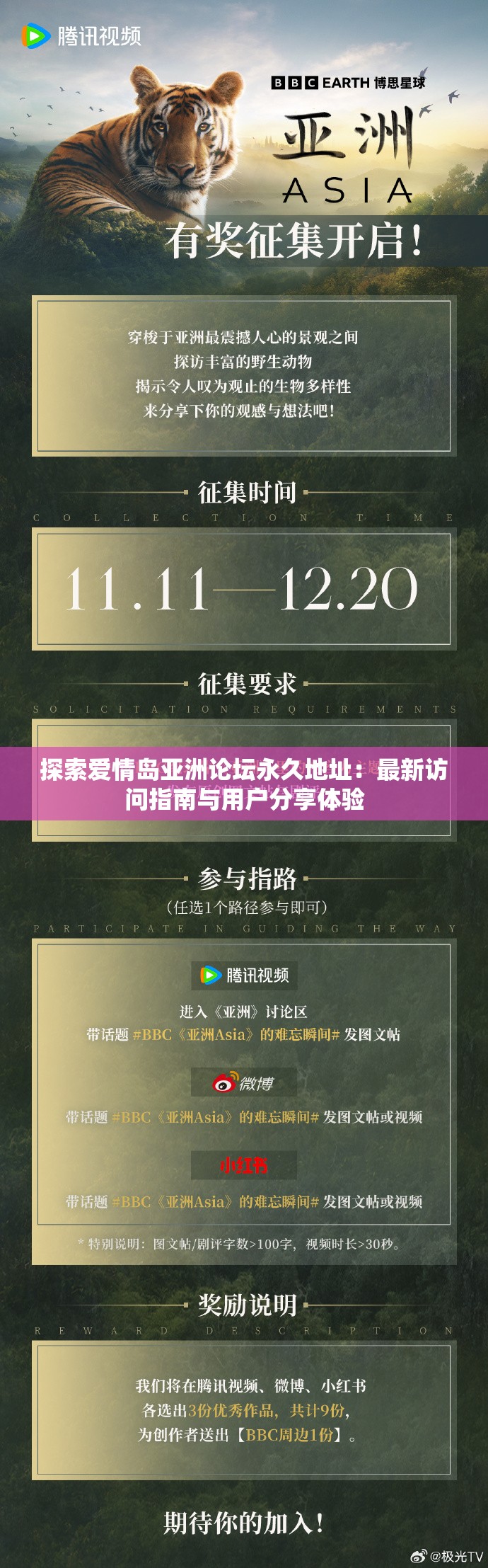 探索愛情島亞洲論壇永久地址：最新訪問指南與用戶分享體驗(yàn)