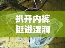 扒開內(nèi)褲挺進濕潤的花莖視頻：其背后的故事與情感表達