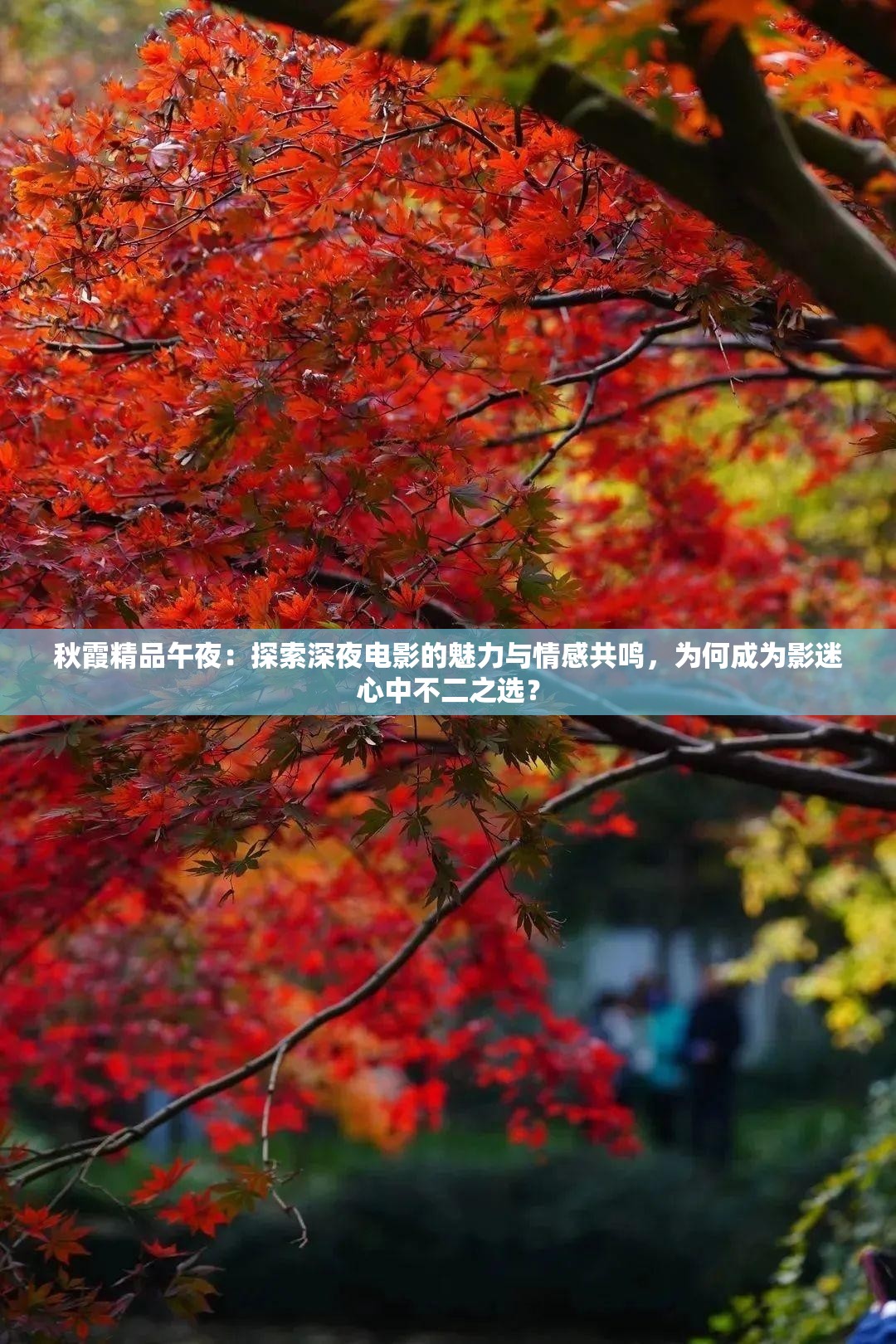 秋霞精品午夜：探索深夜電影的魅力與情感共鳴，為何成為影迷心中不二之選？