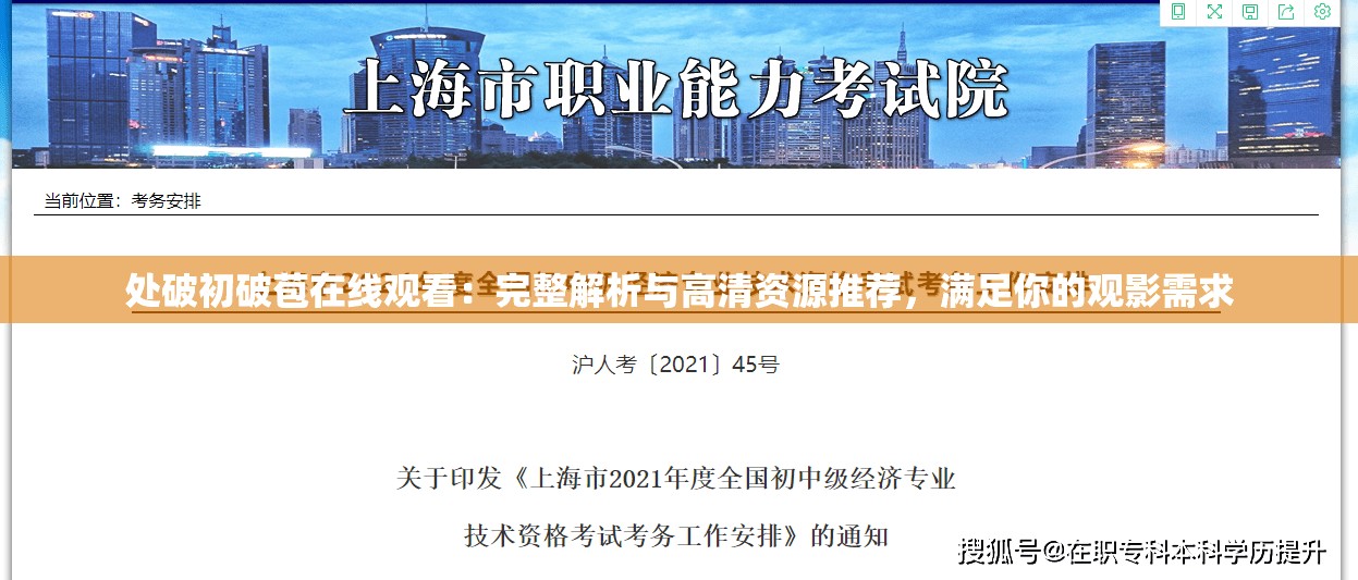 處破初破苞在線觀看：完整解析與高清資源推薦，滿足你的觀影需求