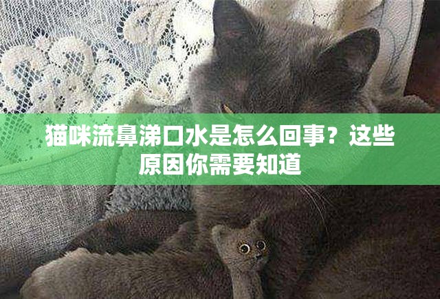 貓咪流鼻涕口水是怎么回事？這些原因你需要知道