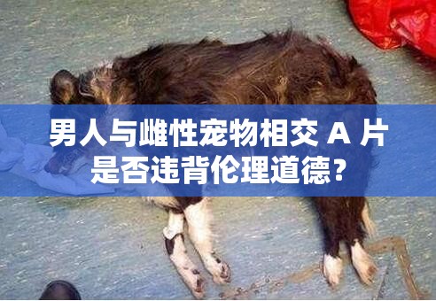 男人與雌性寵物相交 A 片是否違背倫理道德？