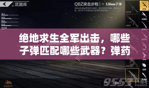絕地求生全軍出擊，哪些子彈匹配哪些武器？彈藥大全揭秘！