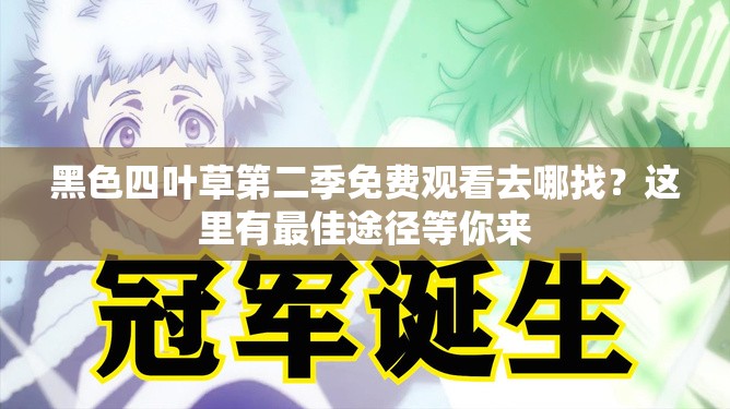 黑色四葉草第二季免費觀看去哪找？這里有最佳途徑等你來