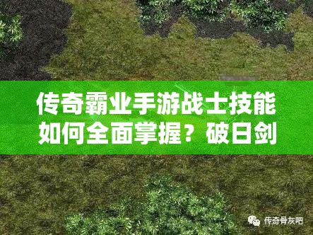 傳奇霸業(yè)手游戰(zhàn)士技能如何全面掌握？破日劍法學習攻略揭秘！