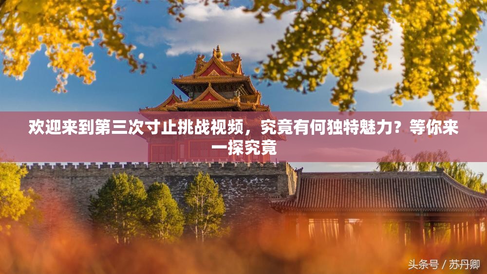 歡迎來到第三次寸止挑戰(zhàn)視頻，究竟有何獨特魅力？等你來一探究竟