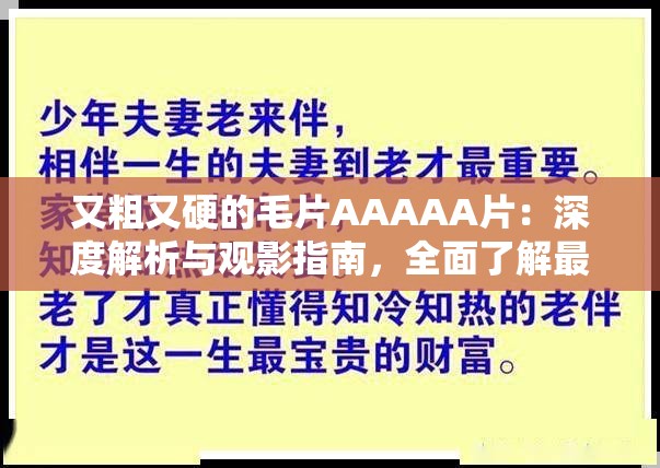 又粗又硬的毛片AAAAA片：深度解析與觀影指南，全面了解最新熱門影片推薦與詳細點評