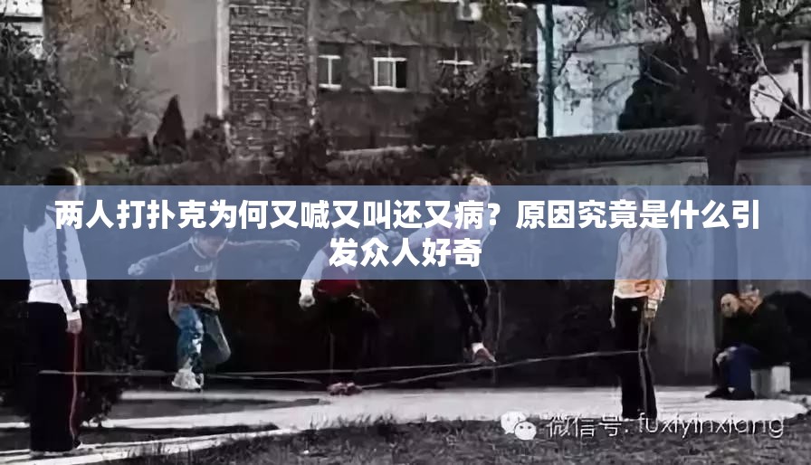 兩人打撲克為何又喊又叫還又病？原因究竟是什么引發(fā)眾人好奇