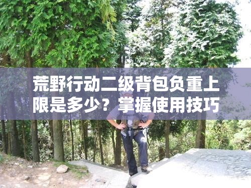 荒野行動二級背包負重上限是多少？掌握使用技巧，或將引領玩法新革命？