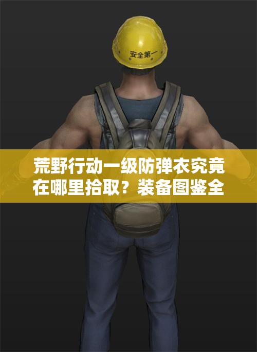 荒野行動一級防彈衣究竟在哪里拾?。垦b備圖鑒全面揭秘！