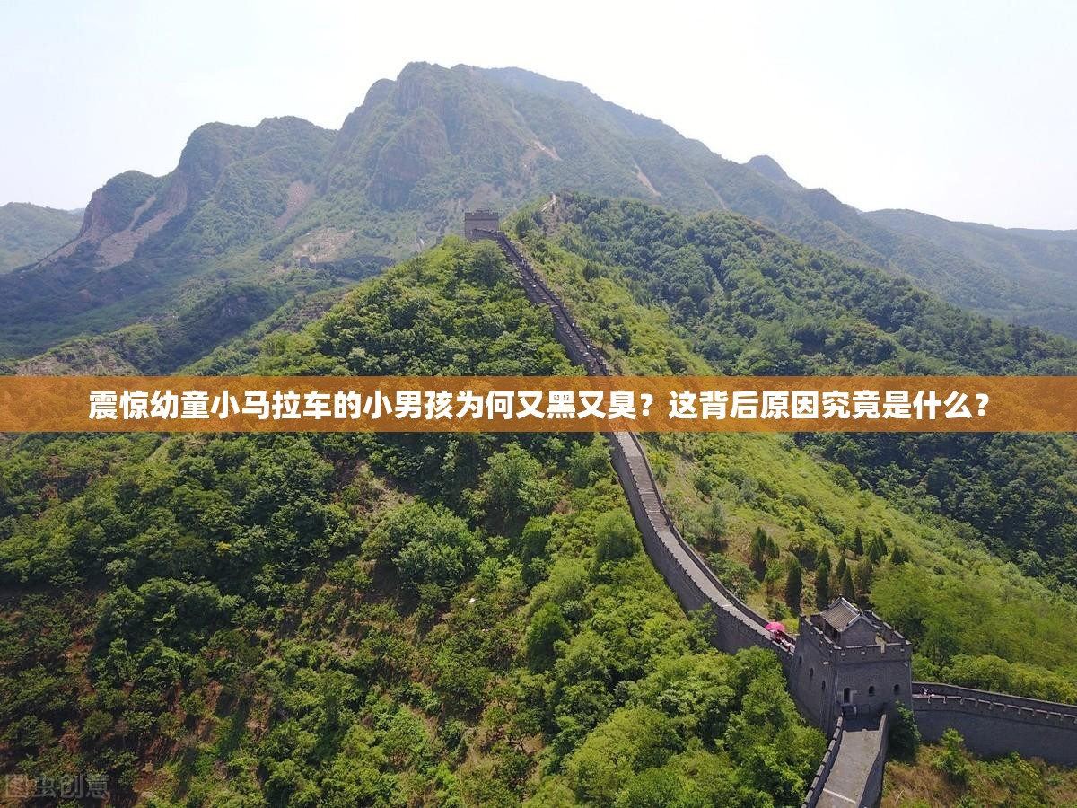 震驚幼童小馬拉車的小男孩為何又黑又臭？這背后原因究竟是什么？