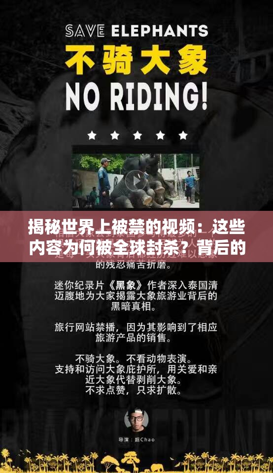 揭秘世界上被禁的視頻：這些內(nèi)容為何被全球封殺？背后的真相令人震驚