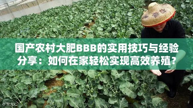 國(guó)產(chǎn)農(nóng)村大肥BBB的實(shí)用技巧與經(jīng)驗(yàn)分享：如何在家輕松實(shí)現(xiàn)高效養(yǎng)殖？