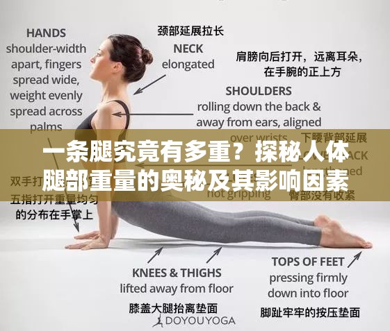 一條腿究竟有多重？探秘人體腿部重量的奧秘及其影響因素或者想知道人的一條腿多重嗎？快來深入了解這背后的有趣知識