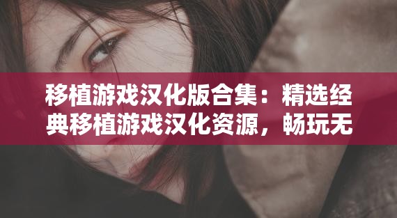 移植游戲漢化版合集：精選經(jīng)典移植游戲漢化資源，暢玩無(wú)語(yǔ)言障礙的完整游戲體驗(yàn)