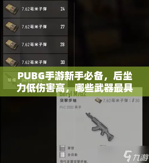 PUBG手游新手必備，后坐力低傷害高，哪些武器最具戰(zhàn)略?xún)r(jià)值與實(shí)踐？