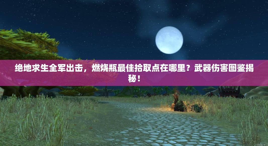 絕地求生全軍出擊，燃燒瓶最佳拾取點(diǎn)在哪里？武器傷害圖鑒揭秘！