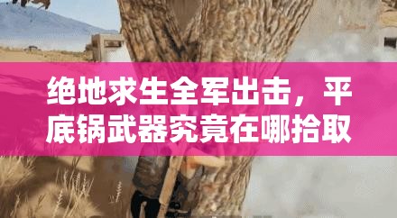 絕地求生全軍出擊，平底鍋武器究竟在哪拾?。繉傩詧D鑒全面揭秘！