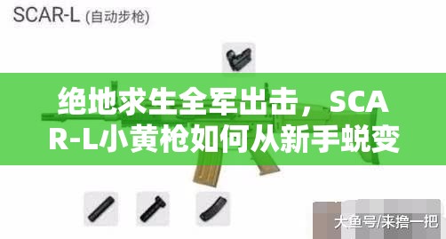 絕地求生全軍出擊，SCAR-L小黃槍如何從新手蛻變精通？全面攻略揭秘！