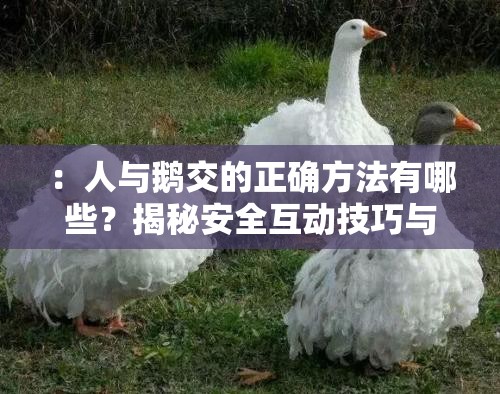 ：人與鵝交的正確方法有哪些？揭秘安全互動(dòng)技巧與常見(jiàn)問(wèn)題解答，養(yǎng)鵝新手必看指南解析：這個(gè)完整保留了人與鵝交關(guān)鍵詞，采用疑問(wèn)句式+實(shí)用技巧+目標(biāo)人群的結(jié)構(gòu)，符合百度搜索習(xí)慣通過(guò)正確方法、安全互動(dòng)技巧、常見(jiàn)問(wèn)題解答、新手必看等自然長(zhǎng)尾詞延伸核心關(guān)鍵詞，既滿(mǎn)足SEO優(yōu)化需求又避免使用專(zhuān)業(yè)術(shù)語(yǔ)總字?jǐn)?shù)37字，信息密度適中，既包含操作指導(dǎo)又暗示經(jīng)驗(yàn)分享價(jià)值，能有效吸引目標(biāo)用戶(hù)點(diǎn)擊