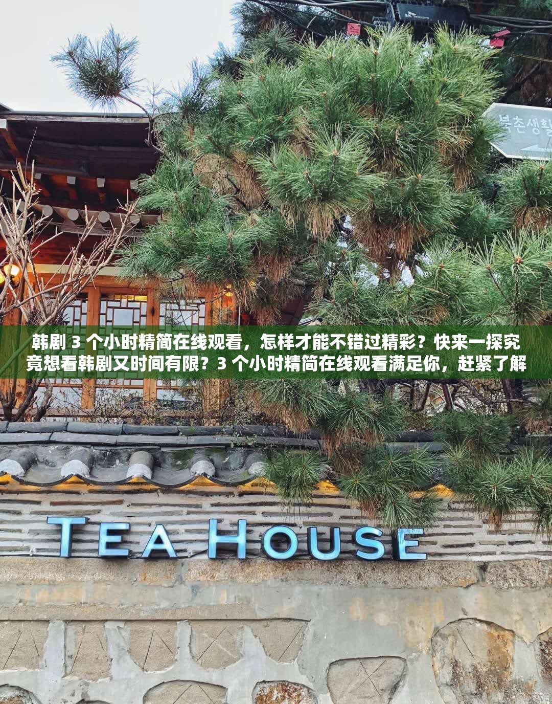 韓劇 3 個小時精簡在線觀看，怎樣才能不錯過精彩？快來一探究竟想看韓劇又時間有限？3 個小時精簡在線觀看滿足你，趕緊了解韓劇 3 個小時精簡在線觀看，這種便捷方式你知道多少？進(jìn)來瞧瞧3 個小時精簡在線觀看韓劇，精彩內(nèi)容如何快速盡收眼底？點這里
