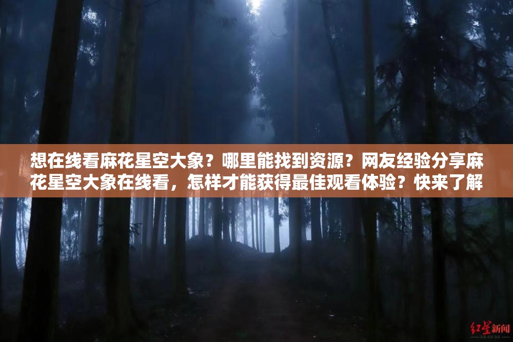 想在線看麻花星空大象？哪里能找到資源？網(wǎng)友經(jīng)驗分享麻花星空大象在線看，怎樣才能獲得最佳觀看體驗？快來了解麻花星空大象在線看，究竟有哪些精彩看點不容錯過？速看