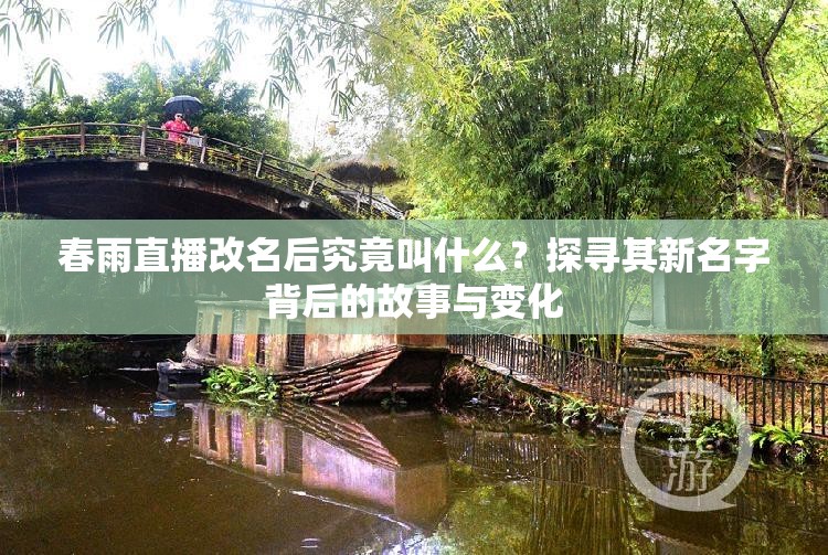 春雨直播改名后究竟叫什么？探尋其新名字背后的故事與變化