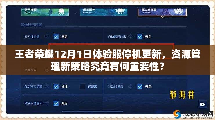 王者榮耀12月1日體驗服停機更新，資源管理新策略究竟有何重要性？