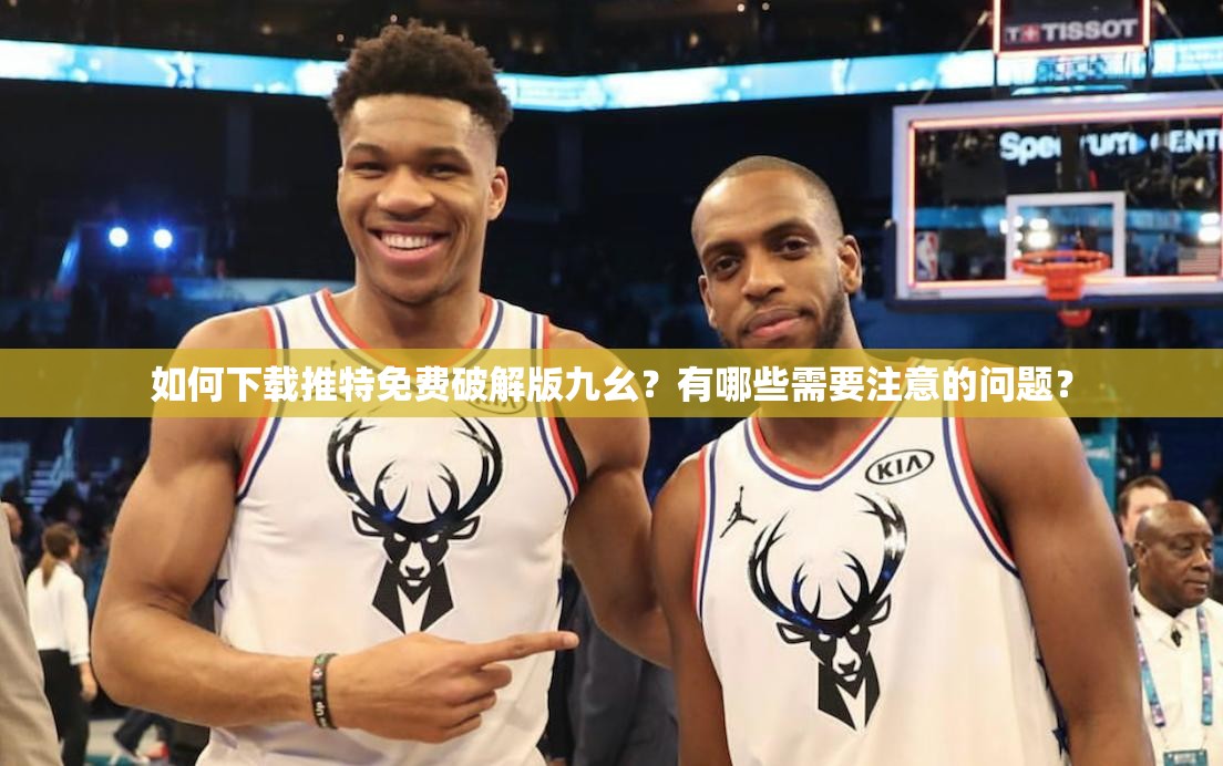 如何下載推特免費(fèi)破解版九幺？有哪些需要注意的問題？