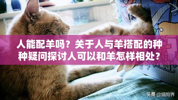 人能配羊嗎？關(guān)于人與羊搭配的種種疑問探討人可以和羊怎樣相處？關(guān)于人與羊關(guān)系的思考人能否與羊進(jìn)行某種特殊的結(jié)合？引發(fā)好奇的相關(guān)探討