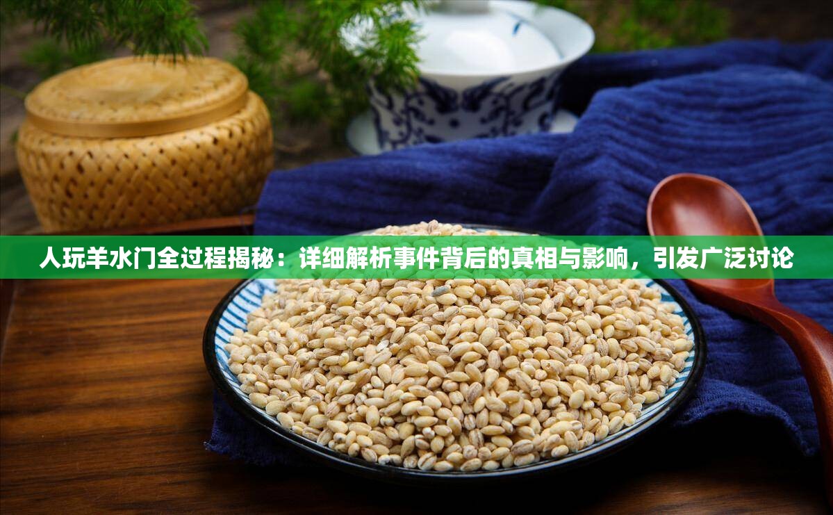 人玩羊水門全過程揭秘：詳細(xì)解析事件背后的真相與影響，引發(fā)廣泛討論