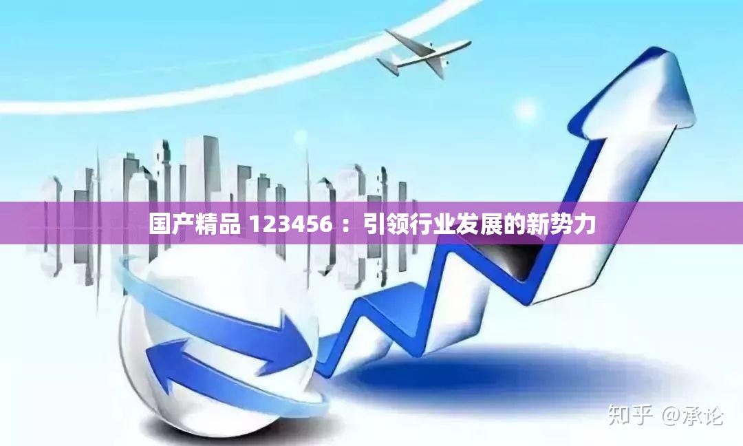 國產(chǎn)精品 123456 ：引領(lǐng)行業(yè)發(fā)展的新勢(shì)力