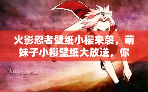 火影忍者壁紙小櫻來襲，萌妹子小櫻壁紙大放送，你喜歡這樣的她嗎？
