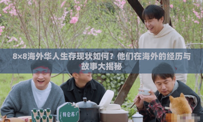 8×8海外華人生存現(xiàn)狀如何？他們在海外的經(jīng)歷與故事大揭秘