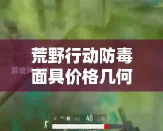 荒野行動(dòng)防毒面具價(jià)格幾何？毒圈防毒效果能否引領(lǐng)玩法新革命？