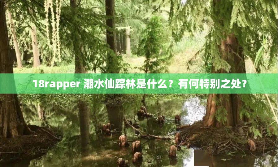 18rapper 潮水仙蹤林是什么？有何特別之處？