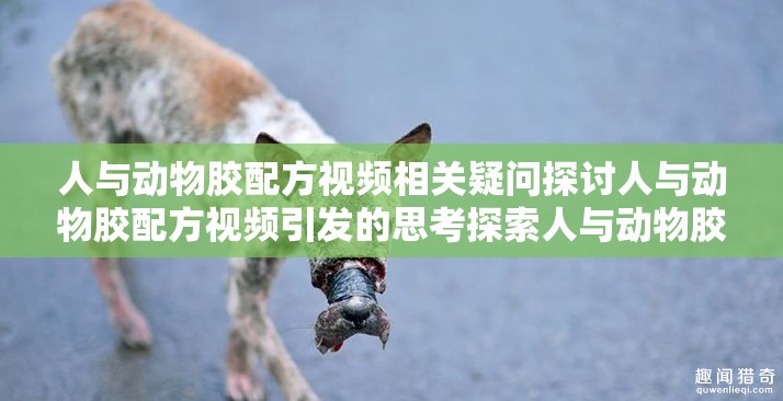 人與動(dòng)物膠配方視頻相關(guān)疑問探討人與動(dòng)物膠配方視頻引發(fā)的思考探索人與動(dòng)物膠配方視頻背后的奧秘關(guān)于人與動(dòng)物膠配方視頻的種種疑問深入了解人與動(dòng)物膠配方視頻的要點(diǎn)剖析人與動(dòng)物膠配方視頻的關(guān)鍵之處解讀人與動(dòng)物膠配方視頻的獨(dú)特之處人與動(dòng)物膠配方視頻帶來的諸多疑惑探尋人與動(dòng)物膠配方視頻的神秘面紗