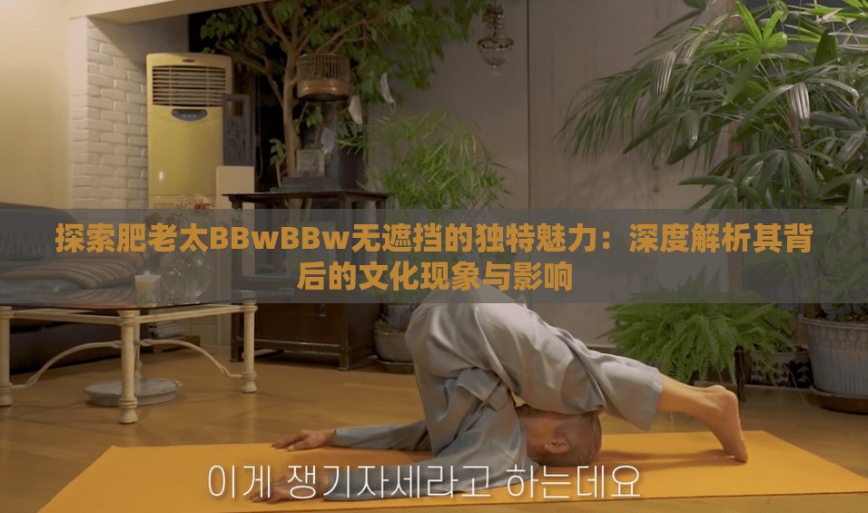 探索肥老太BBwBBw無遮擋的獨(dú)特魅力：深度解析其背后的文化現(xiàn)象與影響