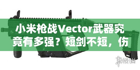 小米槍戰(zhàn)Vector武器究竟有多強？短劍不短，傷害表現(xiàn)真的優(yōu)秀嗎？