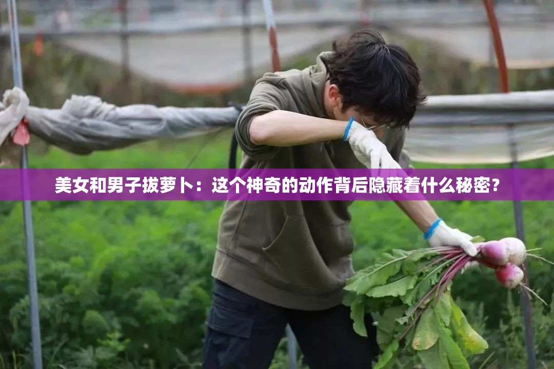 美女和男子拔蘿卜：這個神奇的動作背后隱藏著什么秘密？